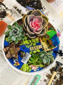 深圳花藝沙龍 以芬芳為紐帶，深化客戶情誼的聚會與花藝工程