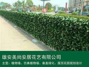 仿真植物墻 雄安美尚安居景觀工程的設計、施工與價格指南