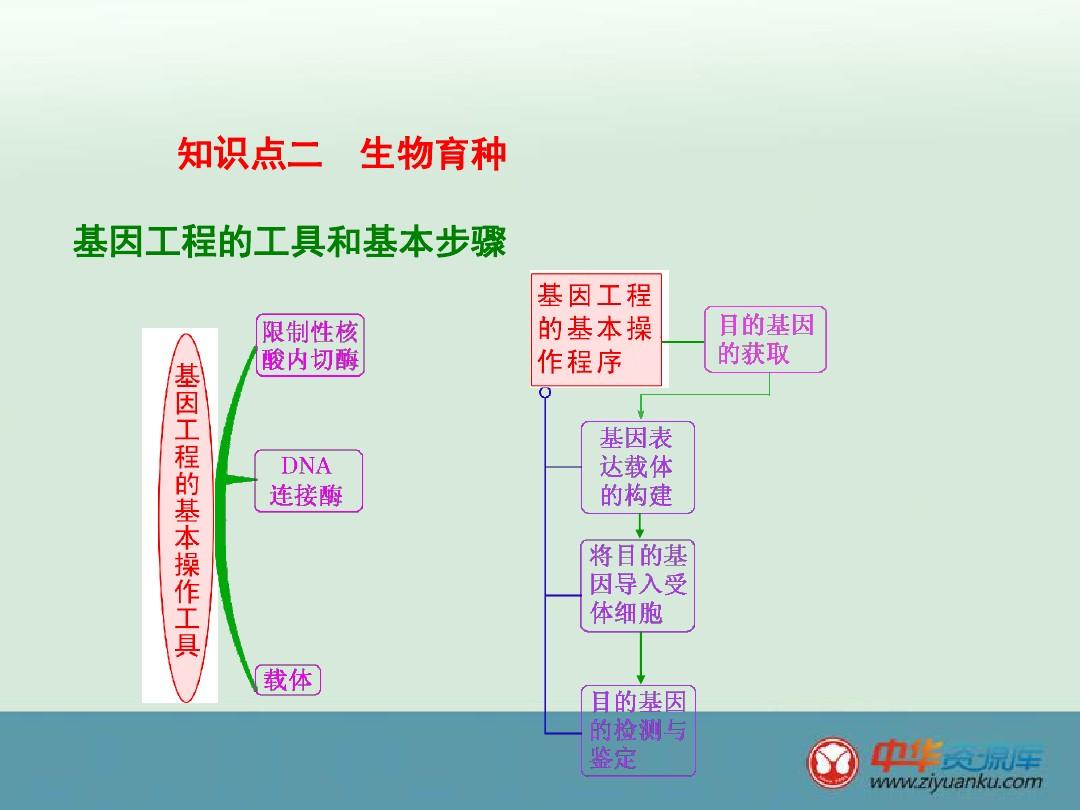 2016屆湖南長沙長郡中學高三生物一輪復習課件:人類遺傳病與生物育種(
