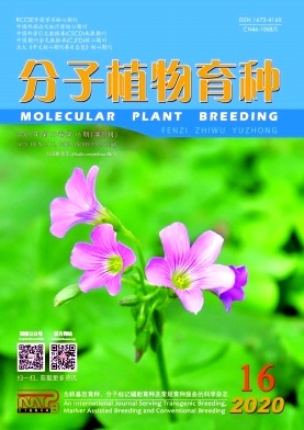 分子植物育種 技術突破與生物時代的育種實踐
