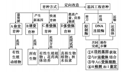 2019-2020高中生物第6章 從雜交育種到基因工程章末知識整合